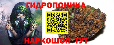 индика Комсомольск-на-Амуре