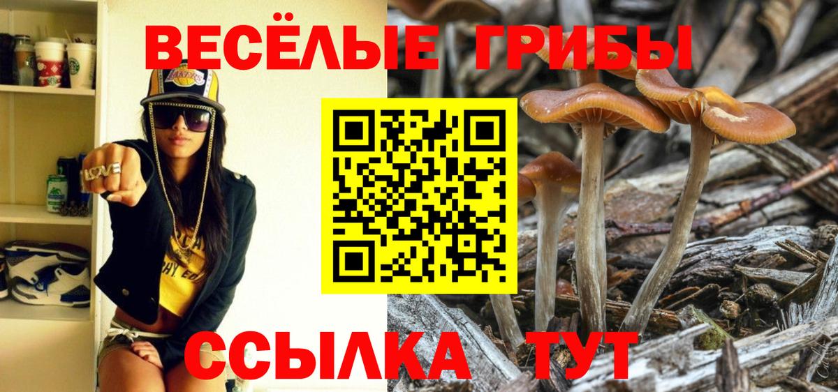 Галлюциногенные грибы GOLDEN TEACHER  Галлюциногенные грибы Psilocybe  Вход с VPN  Армавир 